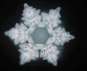 Cristales_Emoto.jpg