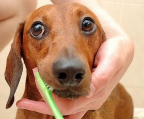 &iquest;F&aacute;cil o dificil?