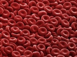 Gl&oacute;bulos rojos
