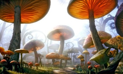 Un mundo de setas, Alicia en el pa&iacute;s de las maravillas