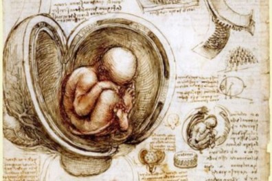 &Uacute;tero de Leonardo da Vinci