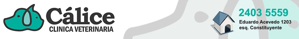 Veterinaria C&aacute;lice - Montevideo, Urguay